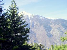 photo coins arrondis